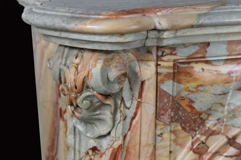 Antique Louis XV Style Fireplace Sculpted Out of a Precious Sarrancolin Marble, 19th Century 1