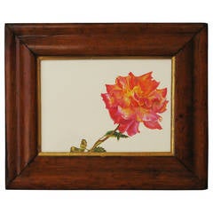 21st Century Watercolour of a Rose