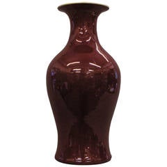 19th Century Sang de Boeuf Vase 12