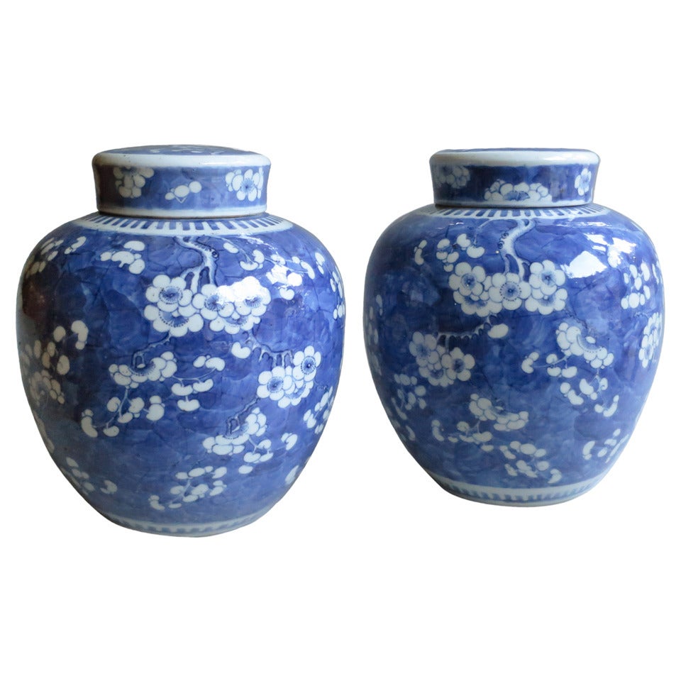 A Pair of Blue & White Ginger Jars