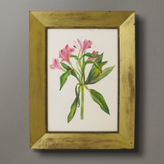 Pink Floral Watercolor and Pencil by Sarah Beaufoy, 21st Century