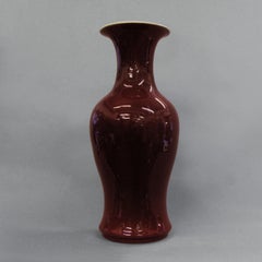 19th Century Large Sang de Boeuf Vase