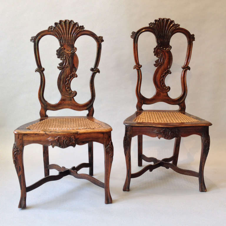 A pair of calamander wood side chairs in the Rococo manner, having elaborately carved back splats, shaped seats with canework, standing on carved cabriole legs with X-form stretchers.