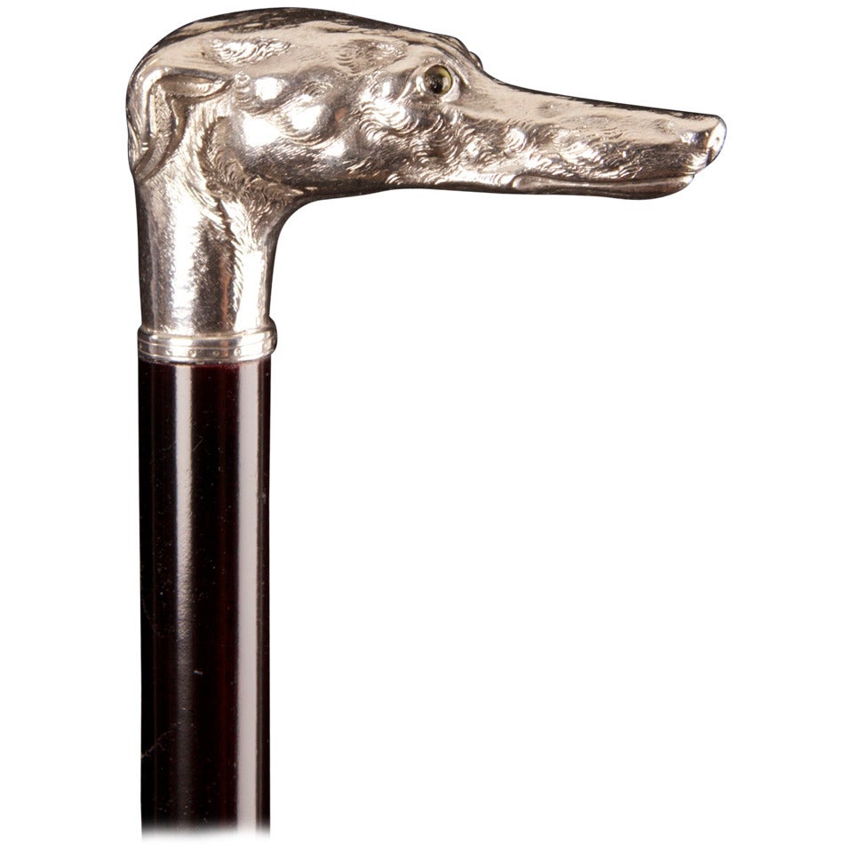 Fine Large Scale Silver Handle Greyhound Dog Head Cane For Sale