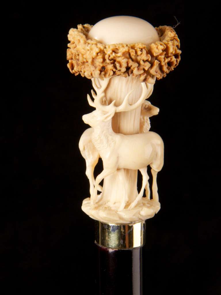 Exceptional Stag Antler Carved Handled Cane