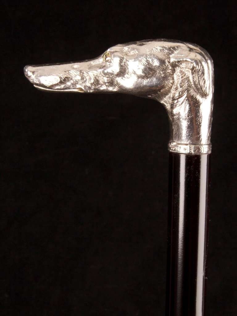 Unknown Fine Large Scale Silver Handle Greyhound Dog Head Cane For Sale