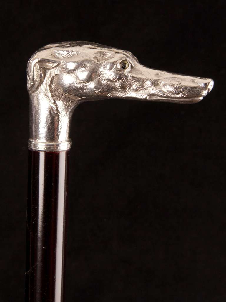 a very fine large scale silver greyhound dog head cane, well modelled and in good detail, with inset small yellow glass eyes & mounted directly onto an ebonised hardwood shaft. The length of the handle is 11cms