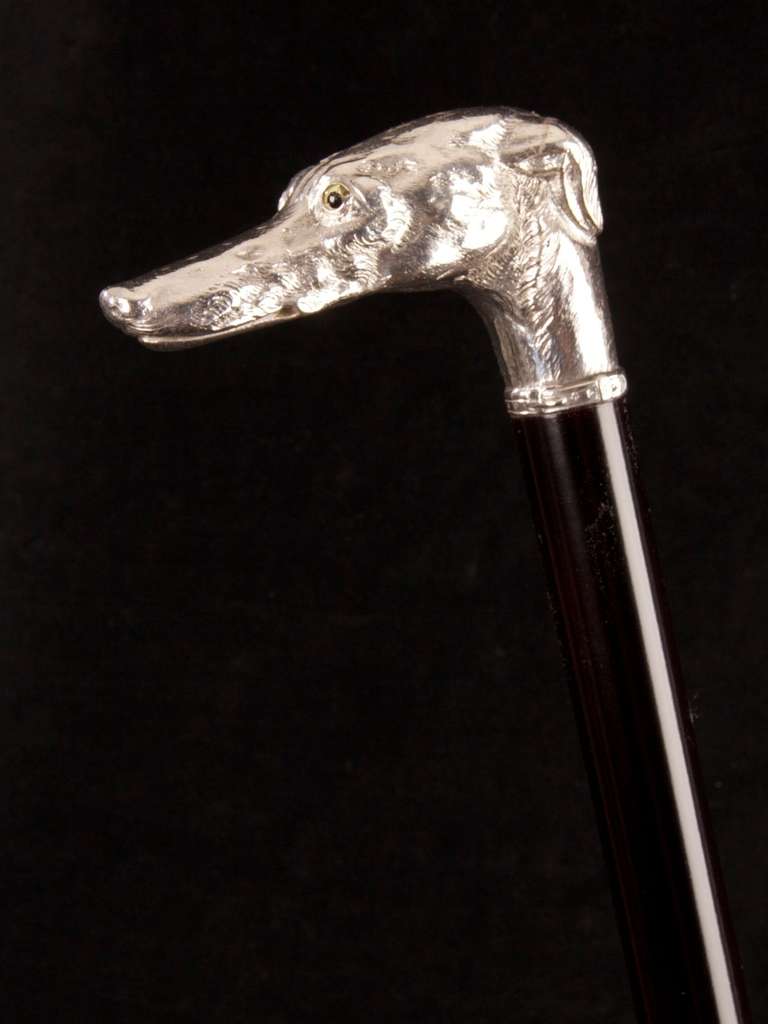 Fine Large Scale Silver Handle Greyhound Dog Head Cane In Excellent Condition For Sale In London, GB