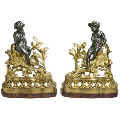 Pair of 19th Century Bronze and Gilt Bronze Chenets