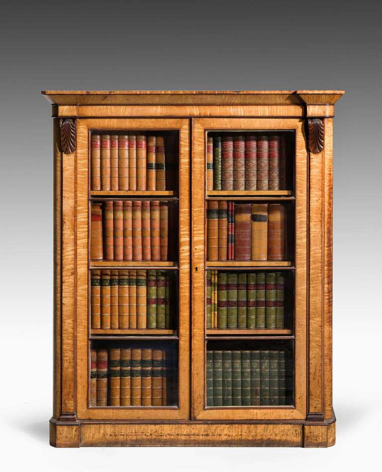 Early 19th Century Birch Bibliotheque In Excellent Condition In Peterborough, Northamptonshire
