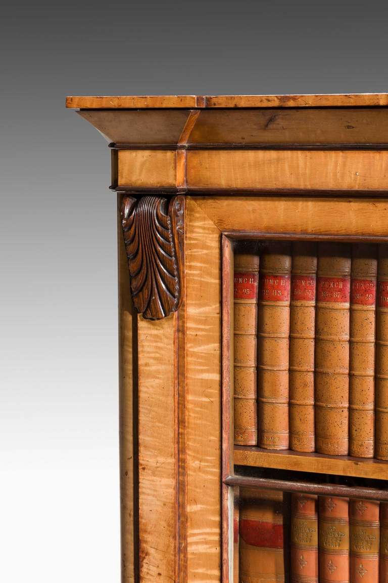 Early 19th Century Birch Bibliotheque 1