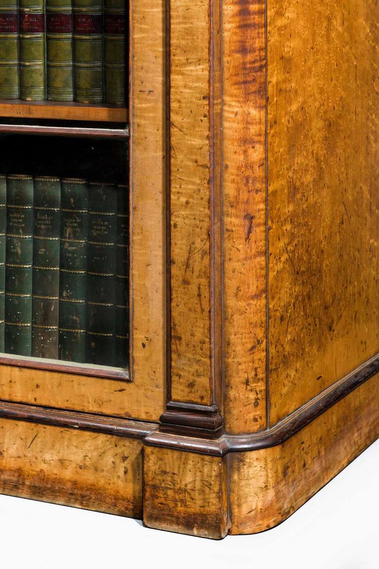Early 19th Century Birch Bibliotheque 2