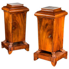 Pair of Early 19th Century Pedestal Cupboards 11