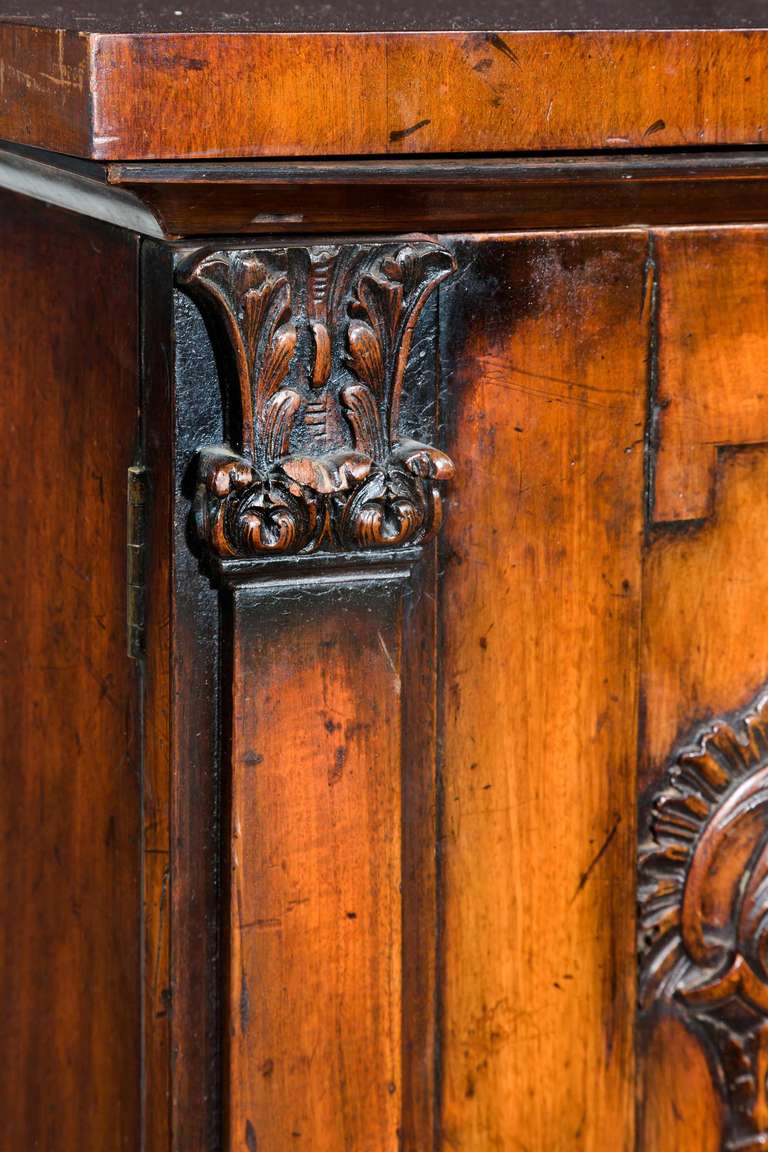 Pair of Regency Period Mahogany Pedestal Cupboards In Excellent Condition In Peterborough, Northamptonshire