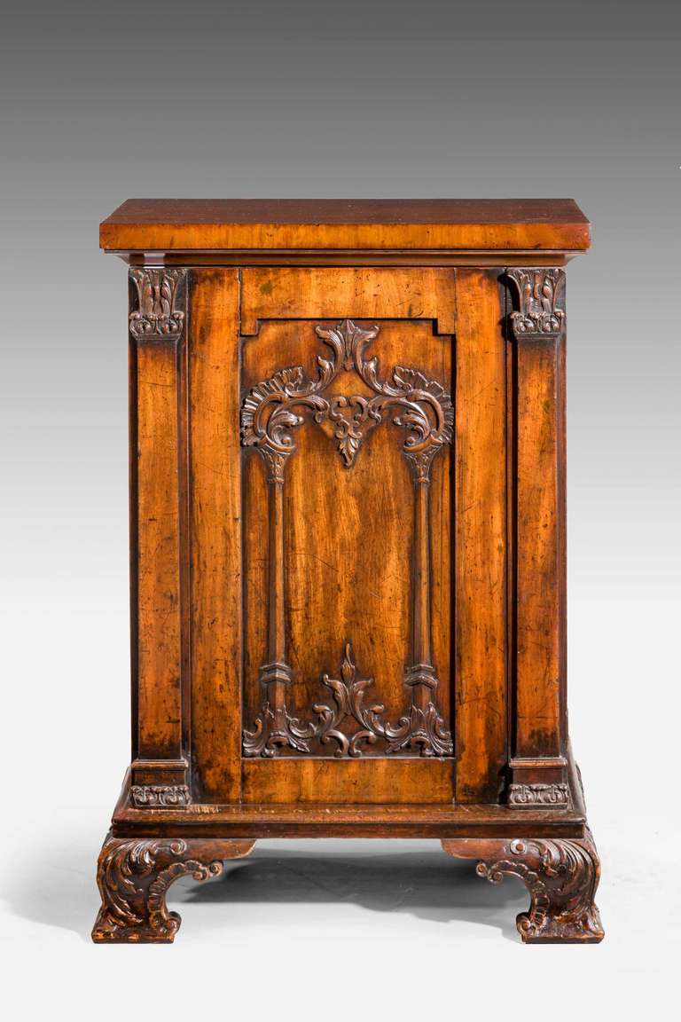 Pair of Regency Period Mahogany Pedestal Cupboards 2