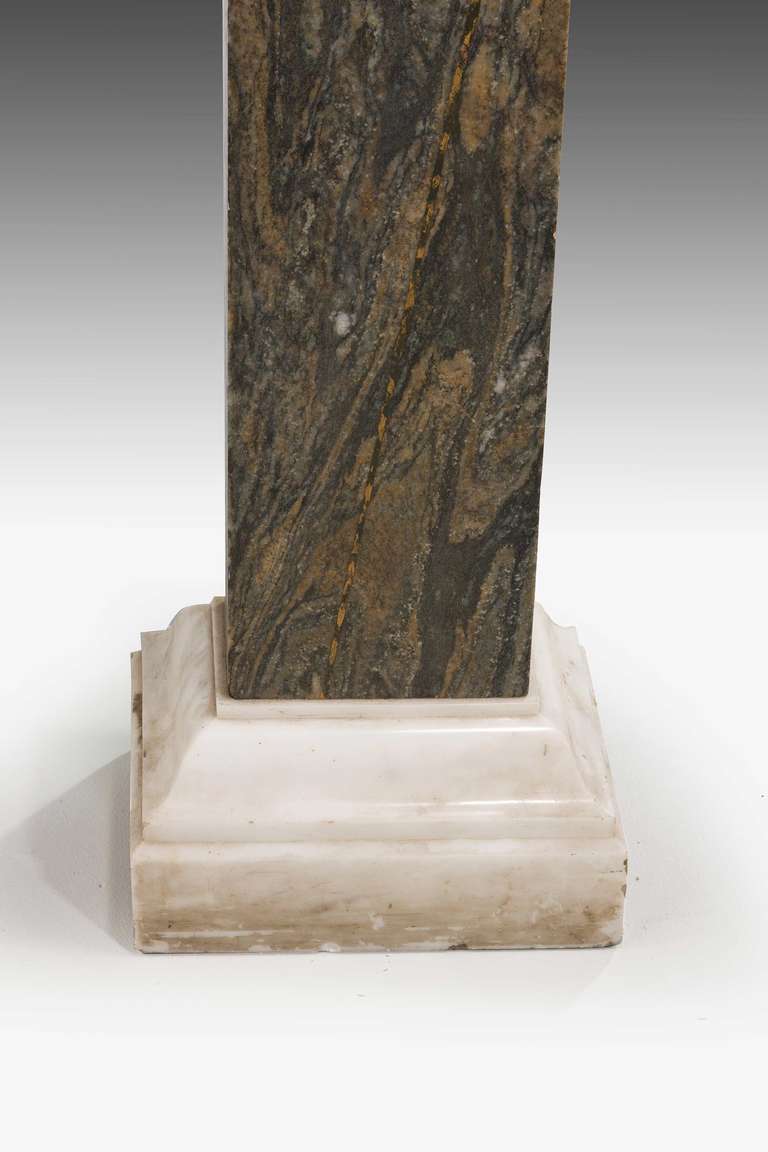 Pair of Early 19th Century Marble Columns 1