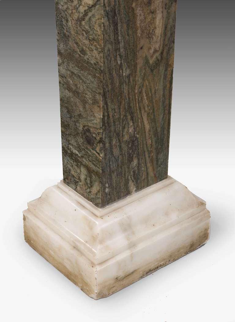 Pair of Early 19th Century Marble Columns 2
