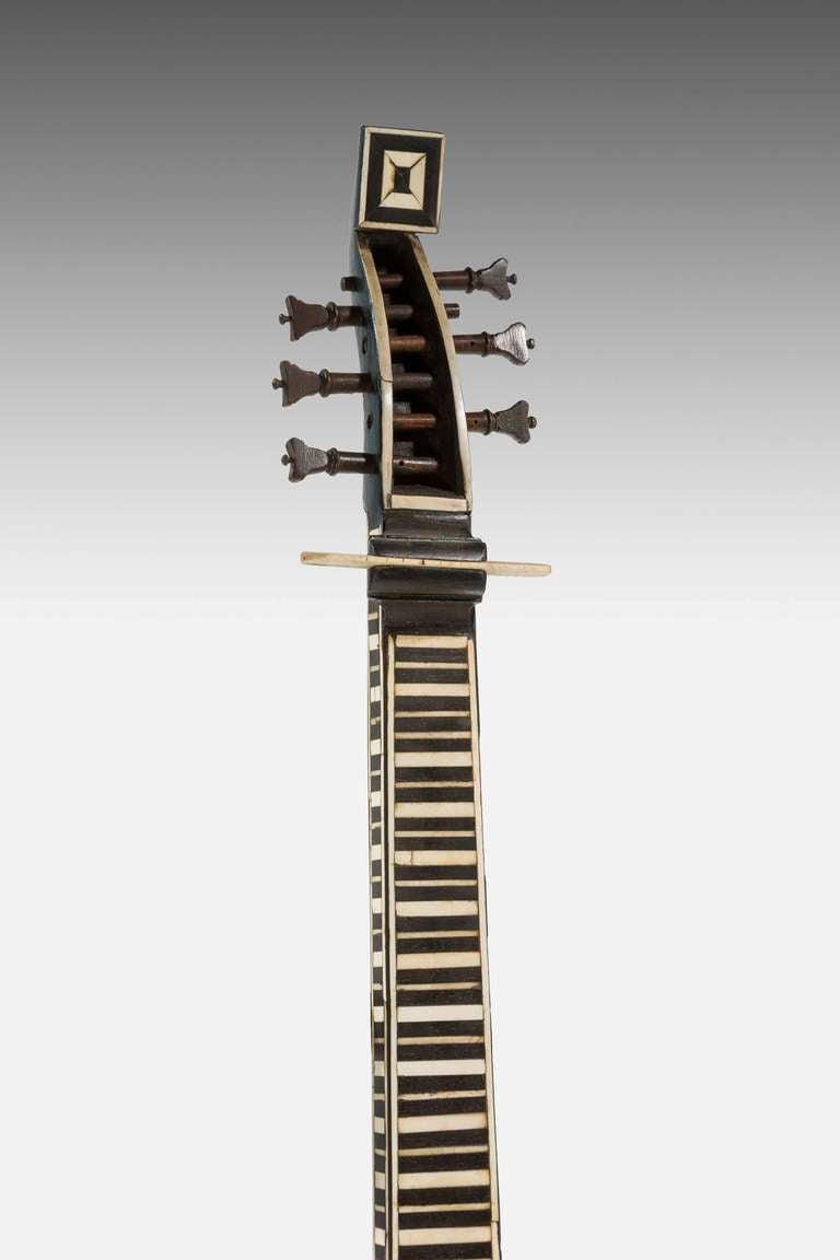 theorbo case