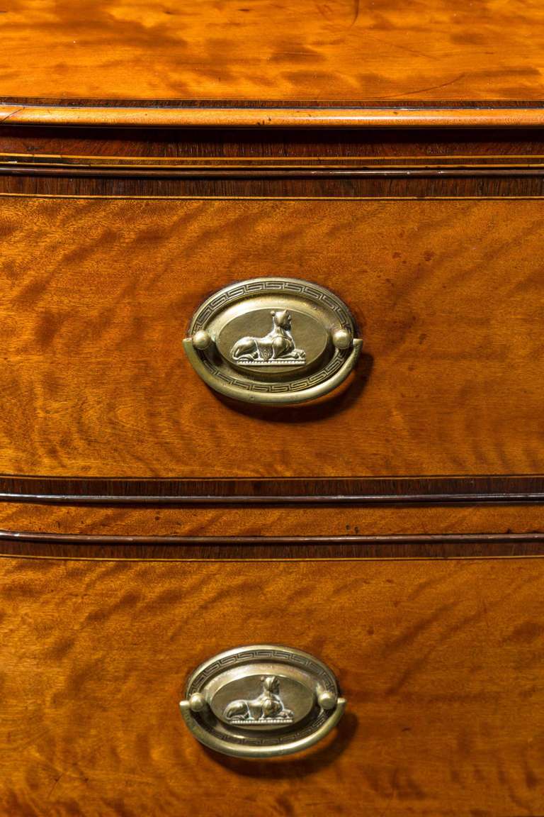 George III Period Satinwood Chest of Drawers In Excellent Condition In Peterborough, Northamptonshire