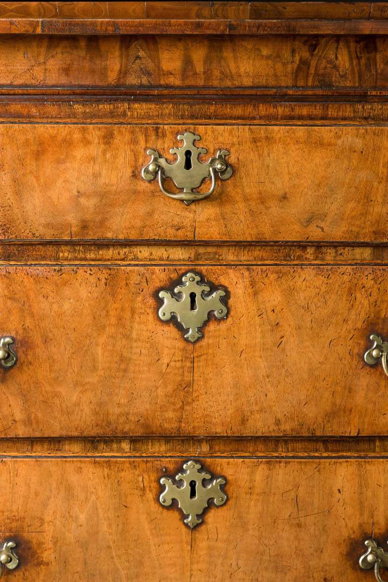 18th Century and Earlier George II Walnut Tallboy or Chest on Chest