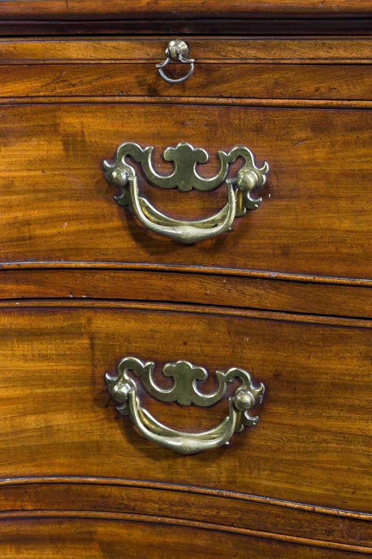 18th Century and Earlier 18th Century Serpentine Mahogany Chest