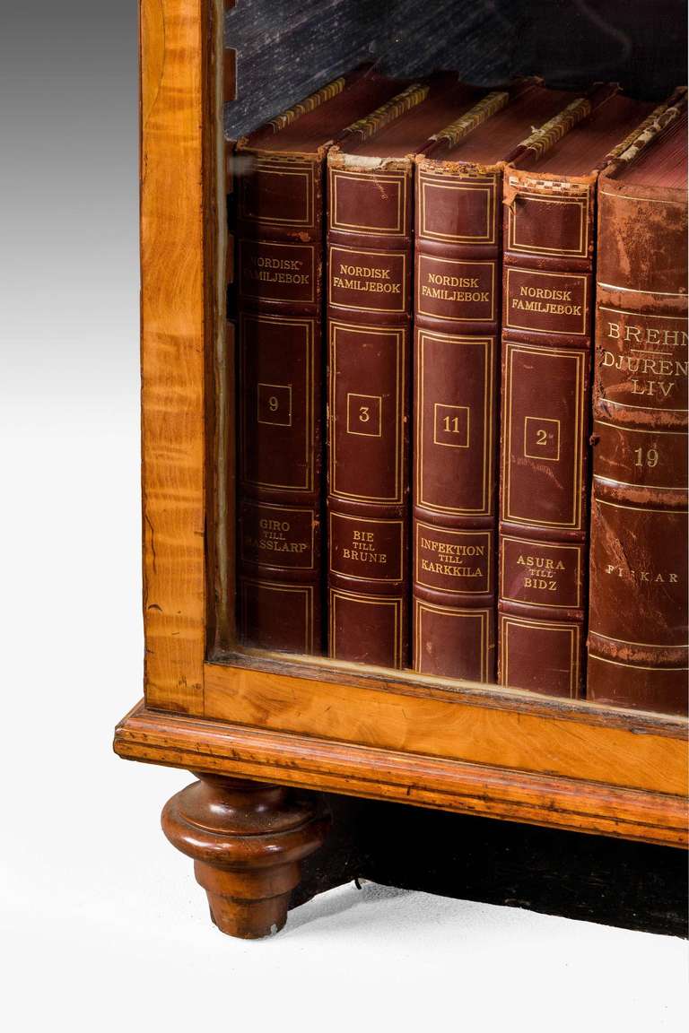 British George III Period Satinwood Bookcase