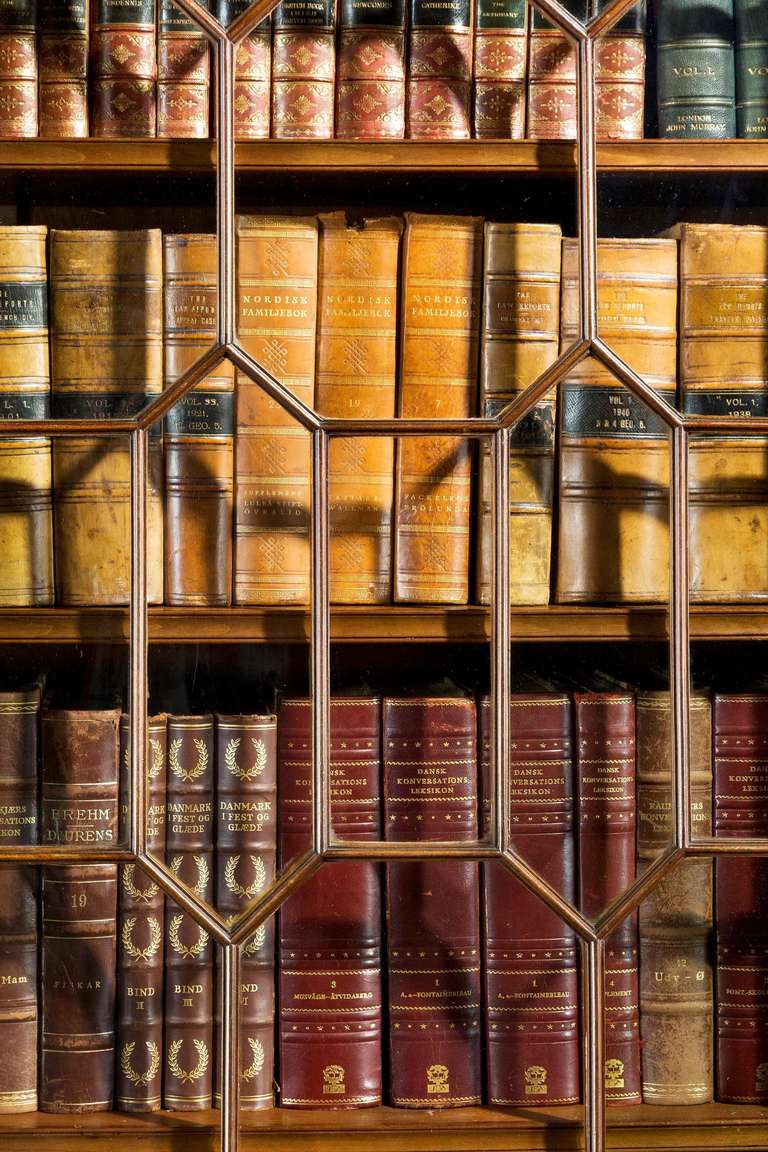 Regency Period Mahogany Two-Door Bookcase In Good Condition In Peterborough, Northamptonshire