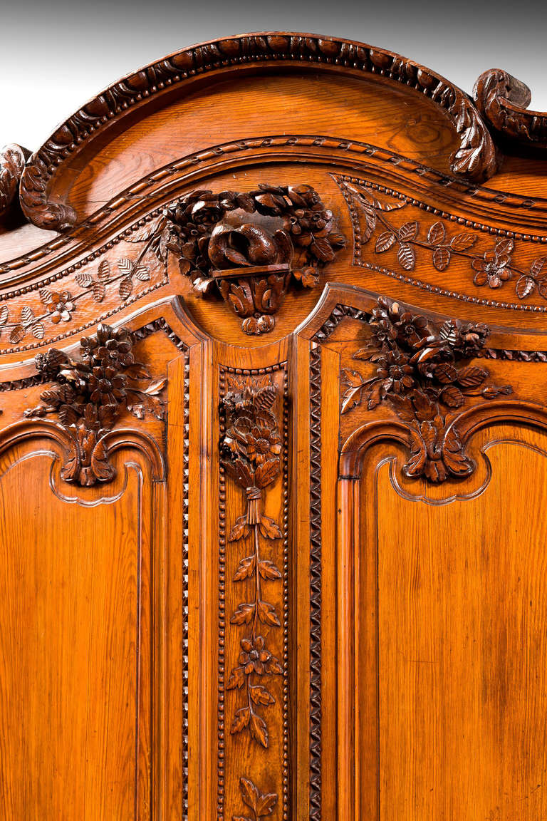 Mid-18th Century Chestnut Armoire 5