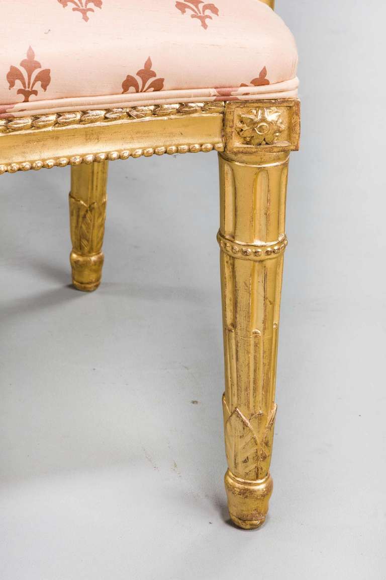 Pair of Italian 19th Century Elbow Chairs 3