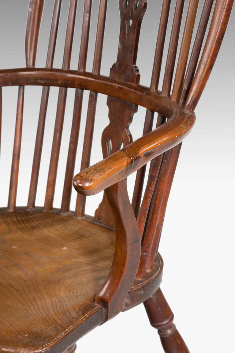 Mid-19th Century Yew Tree Windsor Chair 3