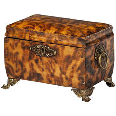 Regency Period Faux Tortoiseshell Tea Caddy