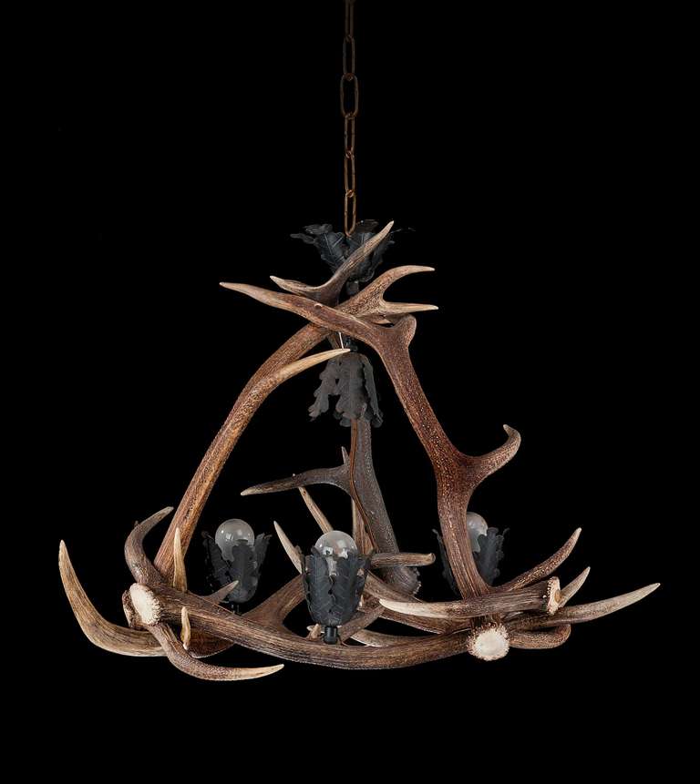 A good, early 20th stag's horn chandelier, the four lights contained within cast bronze outer frames.