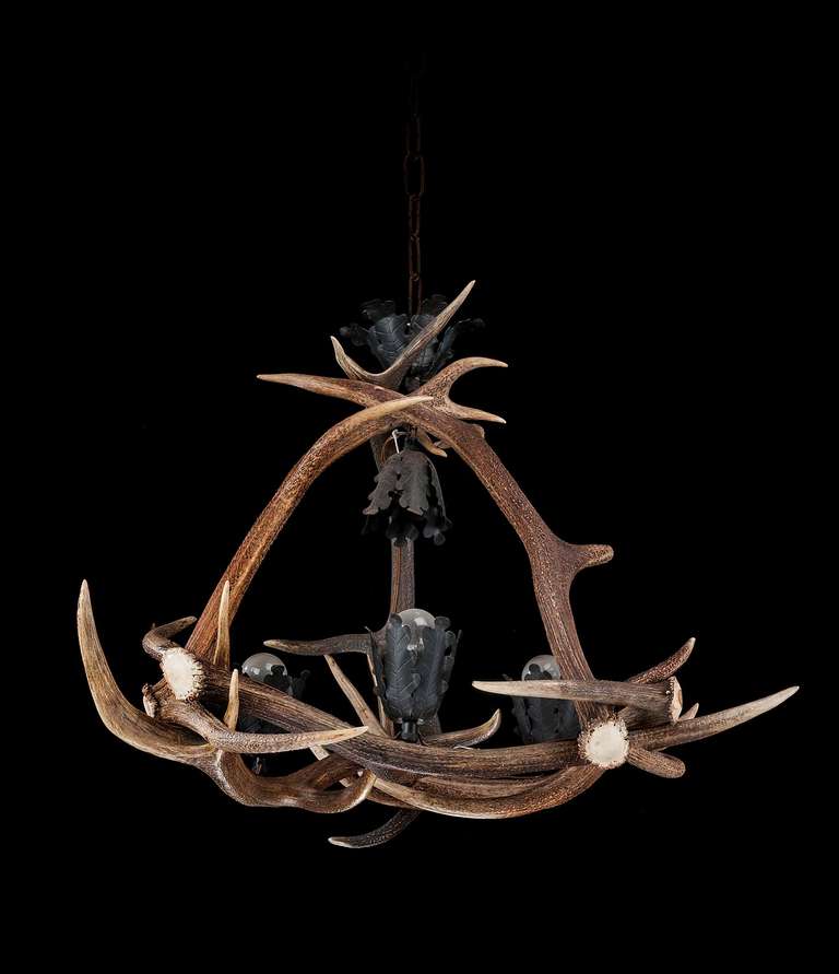 Early 20th Century Stag's Horn, Four-Light Chandelier In Good Condition In Peterborough, Northamptonshire