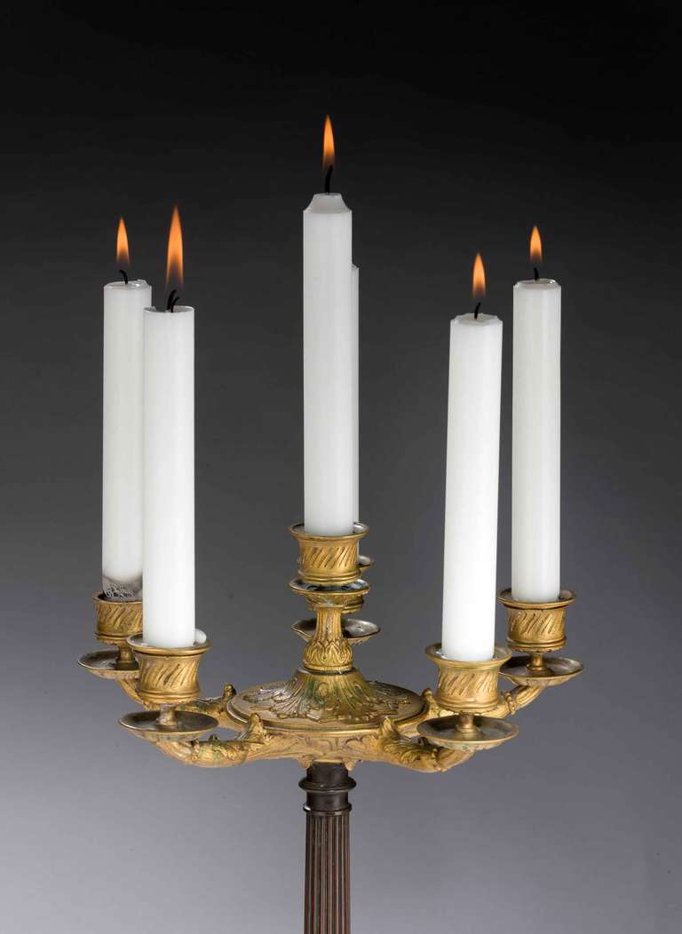 Bronze Pair of 19th Century, Six-Arm Candelabras For Sale