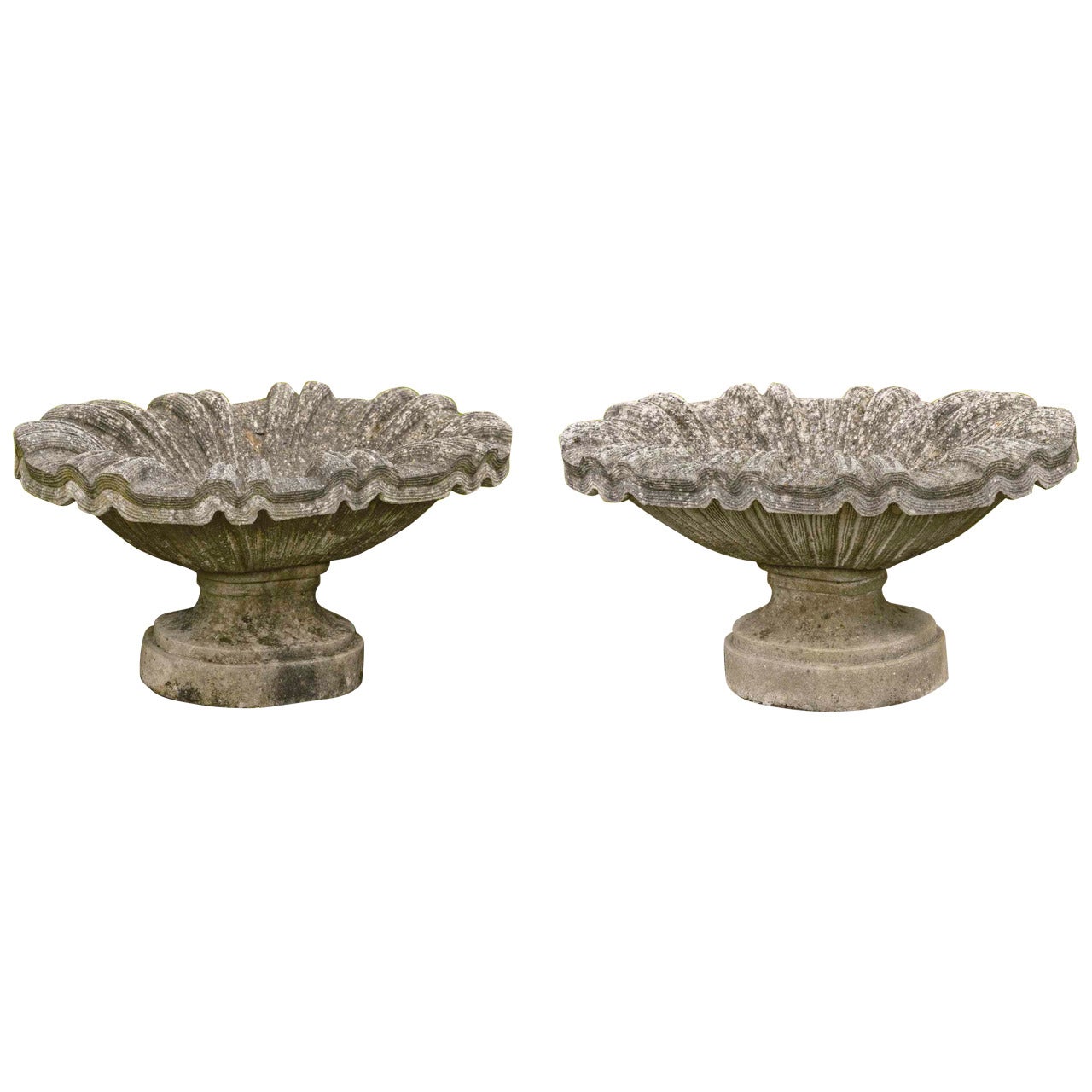 Pair of 20th Century Shallow Urns Standing on Plinths For Sale at 1stDibs