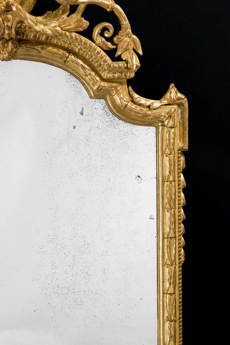 Mid-19th Century Gesso and Giltwood Pier Mirror 1