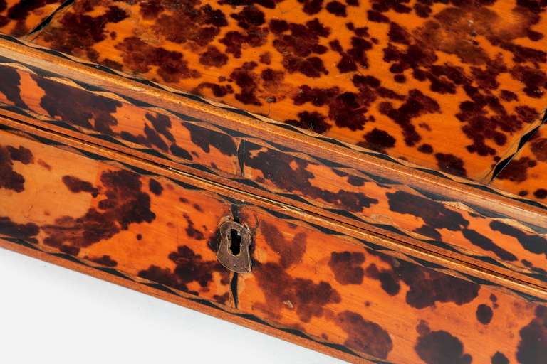 English 19th Century Tortoiseshell Fitted Box