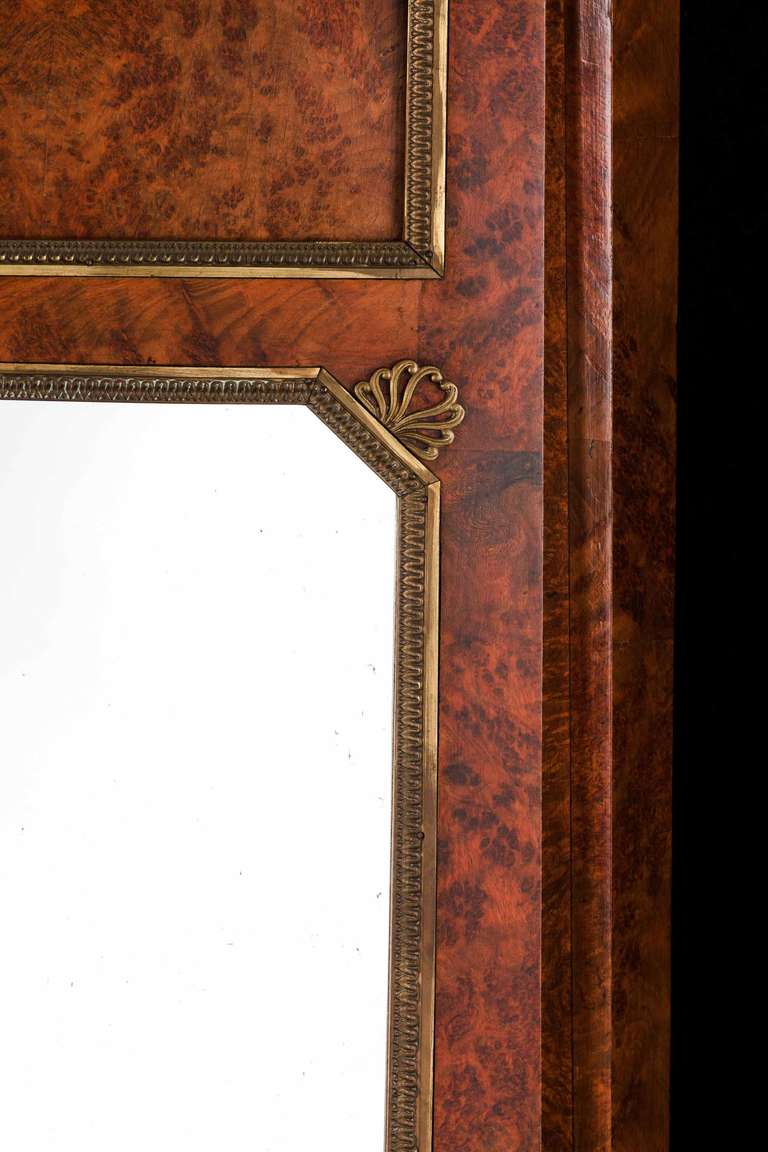 Austrian Late 19th Century Burr Birch Mirror 2