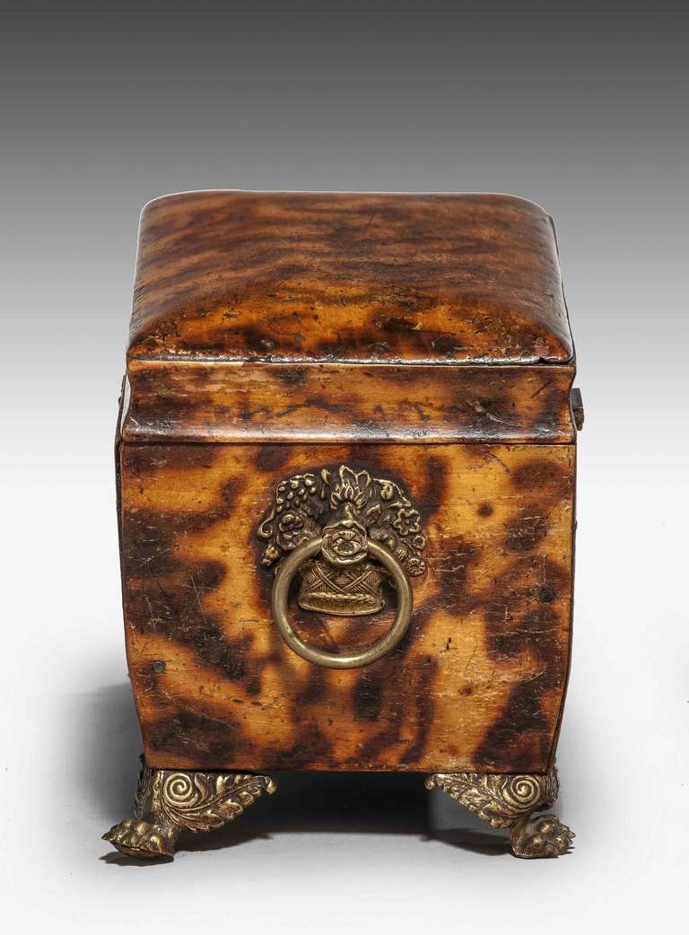 Regency Period Faux Tortoiseshell Tea Caddy In Excellent Condition In Peterborough, Northamptonshire
