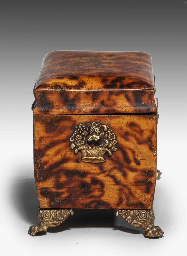 19th Century Regency Period Faux Tortoiseshell Tea Caddy