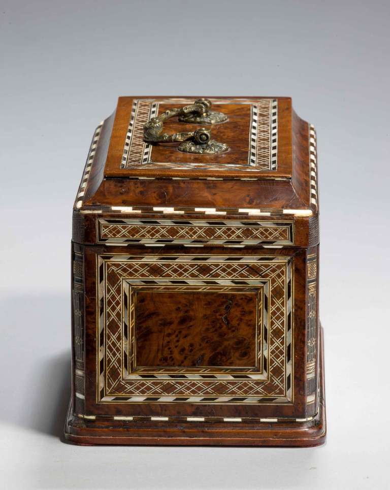 Early 19th Century Burr Yew Wood Tea Caddy 6