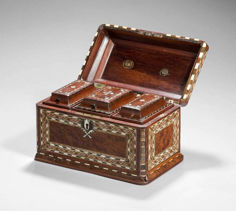 Early 19th Century Burr Yew Wood Tea Caddy 2