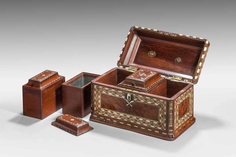 Early 19th Century Burr Yew Wood Tea Caddy 3