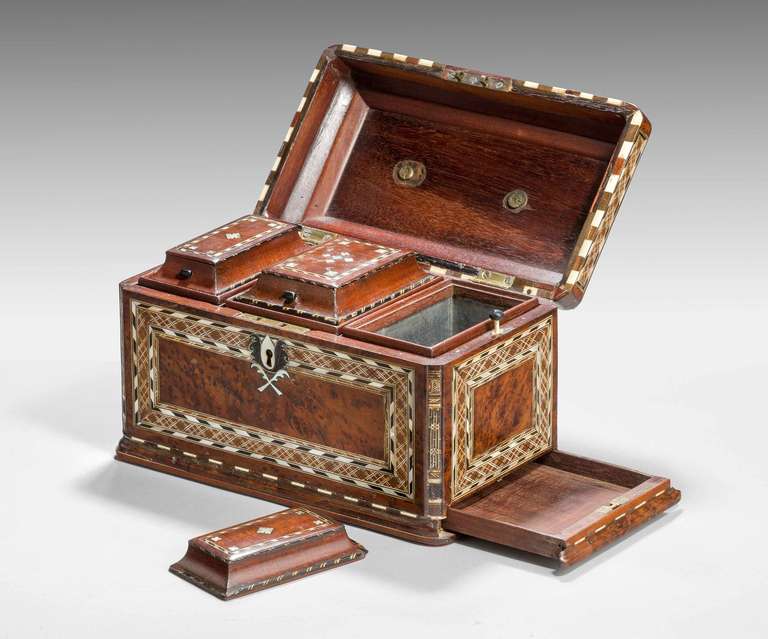 Early 19th Century Burr Yew Wood Tea Caddy 4