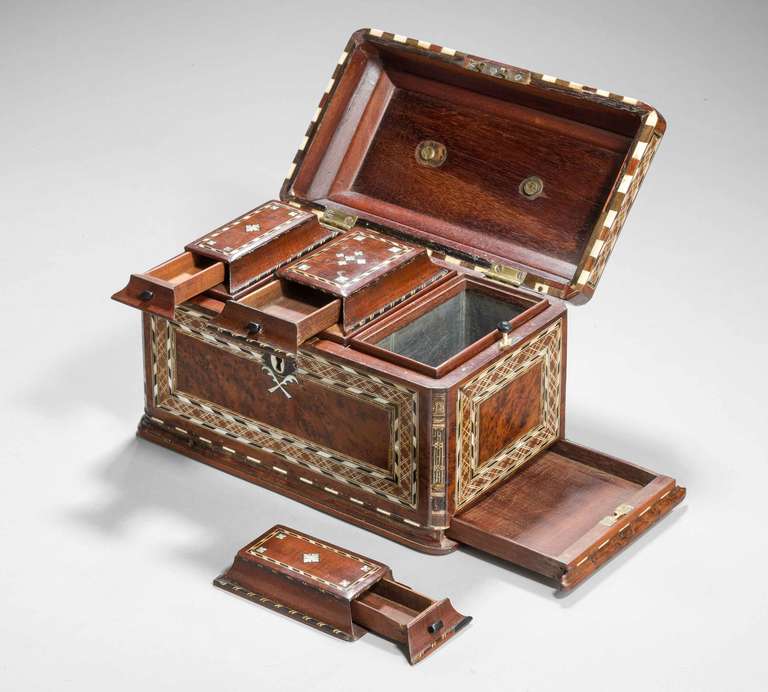 Early 19th Century Burr Yew Wood Tea Caddy 5