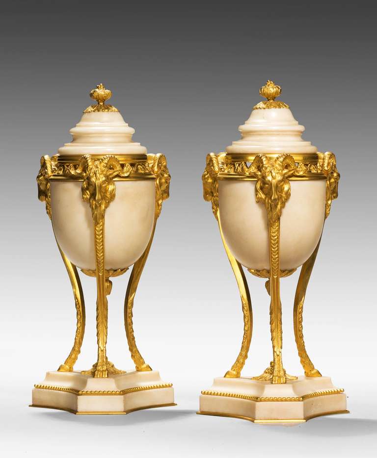 Pair of Early 20th Century French Gilt Bronze and Marble Lided Vases