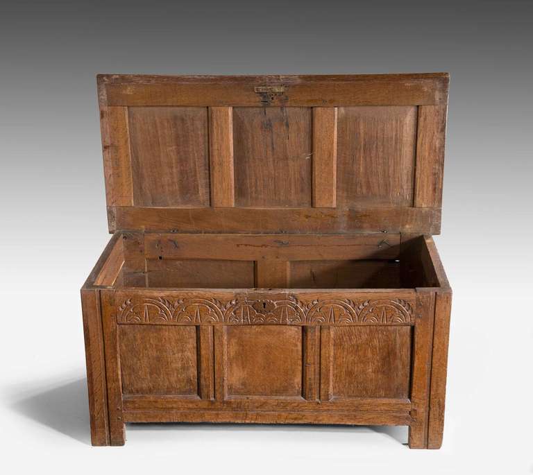 Early 18th Century Oak Three-Panel Coffer 1