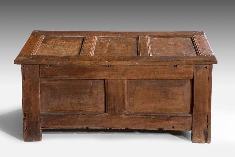 Early 18th Century Oak Three-Panel Coffer 4