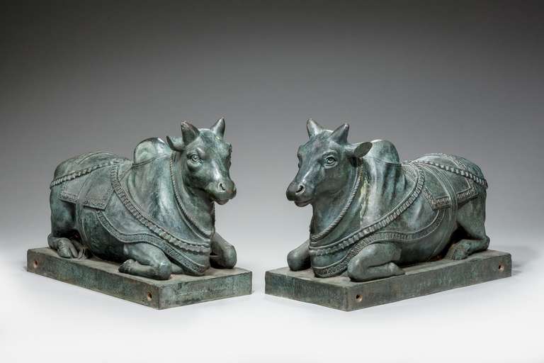 Pair of patinated bronze Brahma bulls. Impressed Coade London 1814 on the base.

The Brahman or Brahma is a breed of Zebu cattle (Bos primigenius indicus) that originated in India, and was exported from there to the rest of the world. All cattle