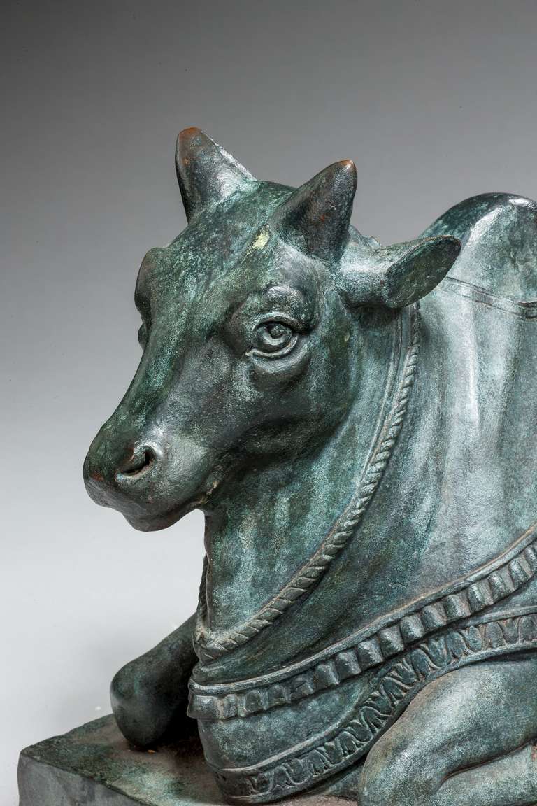 Pair of Patinated Bronze Brahma Bulls In Excellent Condition In Peterborough, Northamptonshire